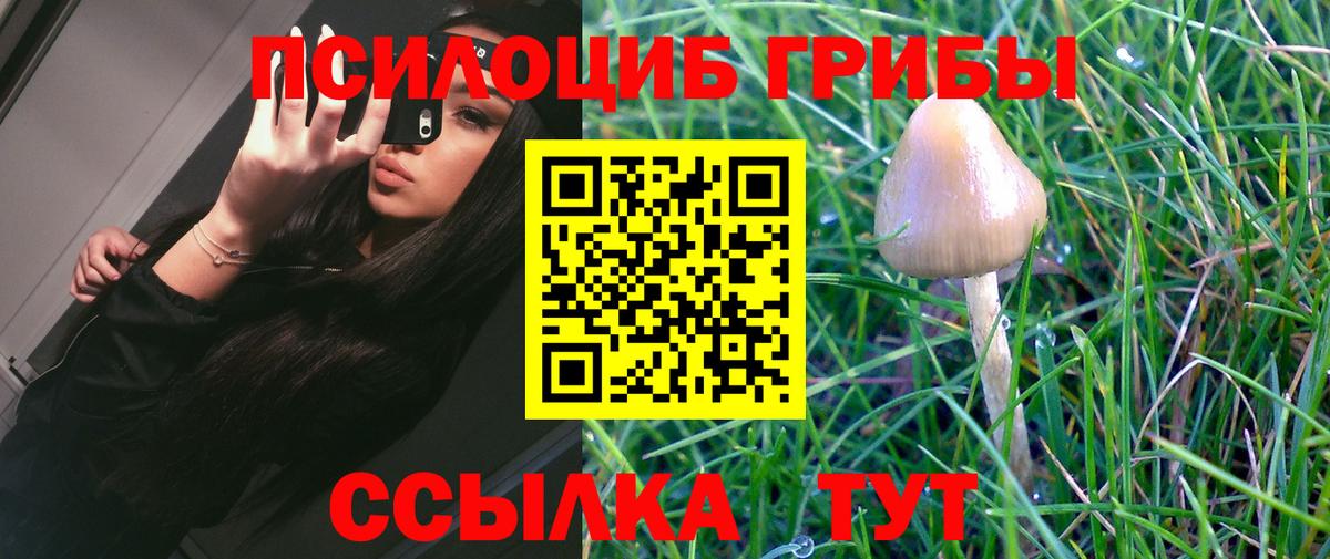 Галлюциногенные грибы ЛСД Таганрог