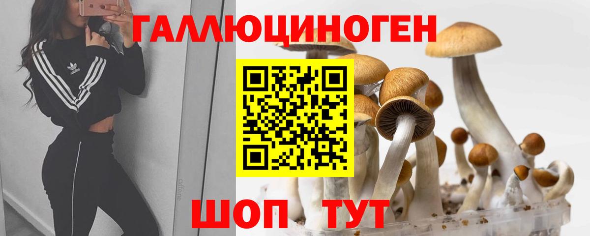 Таганрог  Галлюциногенные грибы Psilocybine cubensis  Вход с VPN 